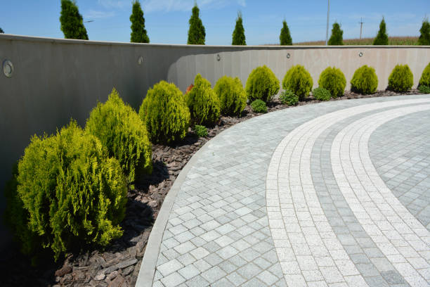 Best Driveway Paving Contractor  in San Rafael, CA